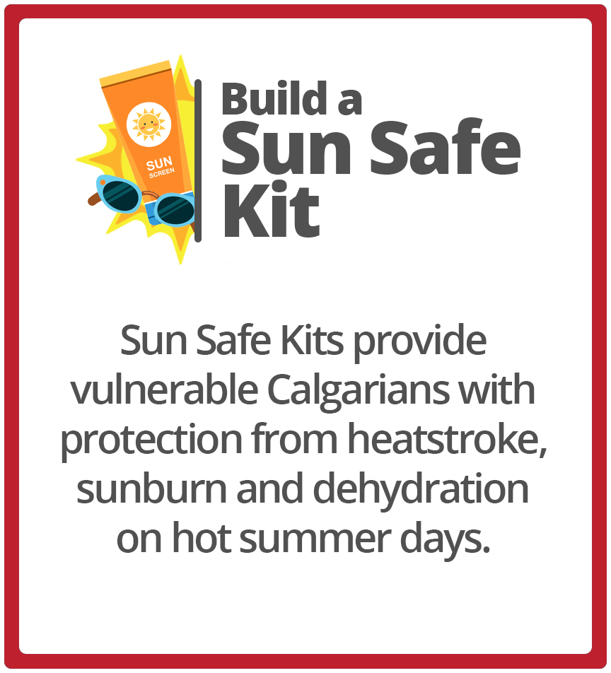Sun Safe Kit