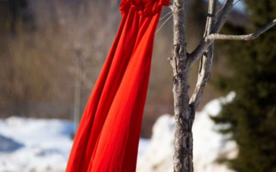 Red Dress Day – Missing and Murdered Indigenous Women, Girls, and Two-Spirit People